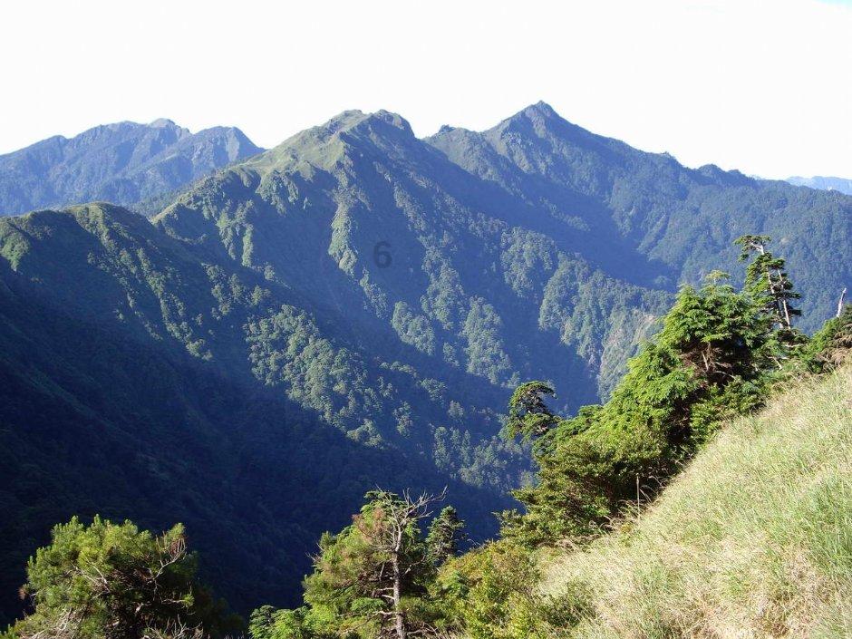 磁致伸缩位移传感器在太阳能电池板追光系统中的应用