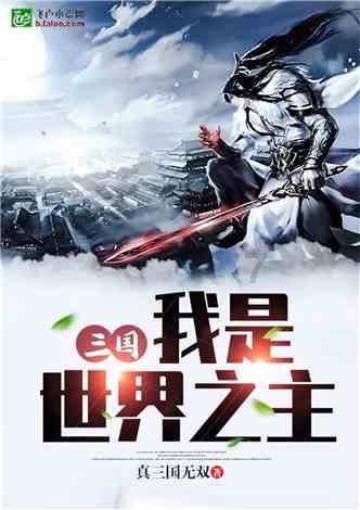 三国之志2